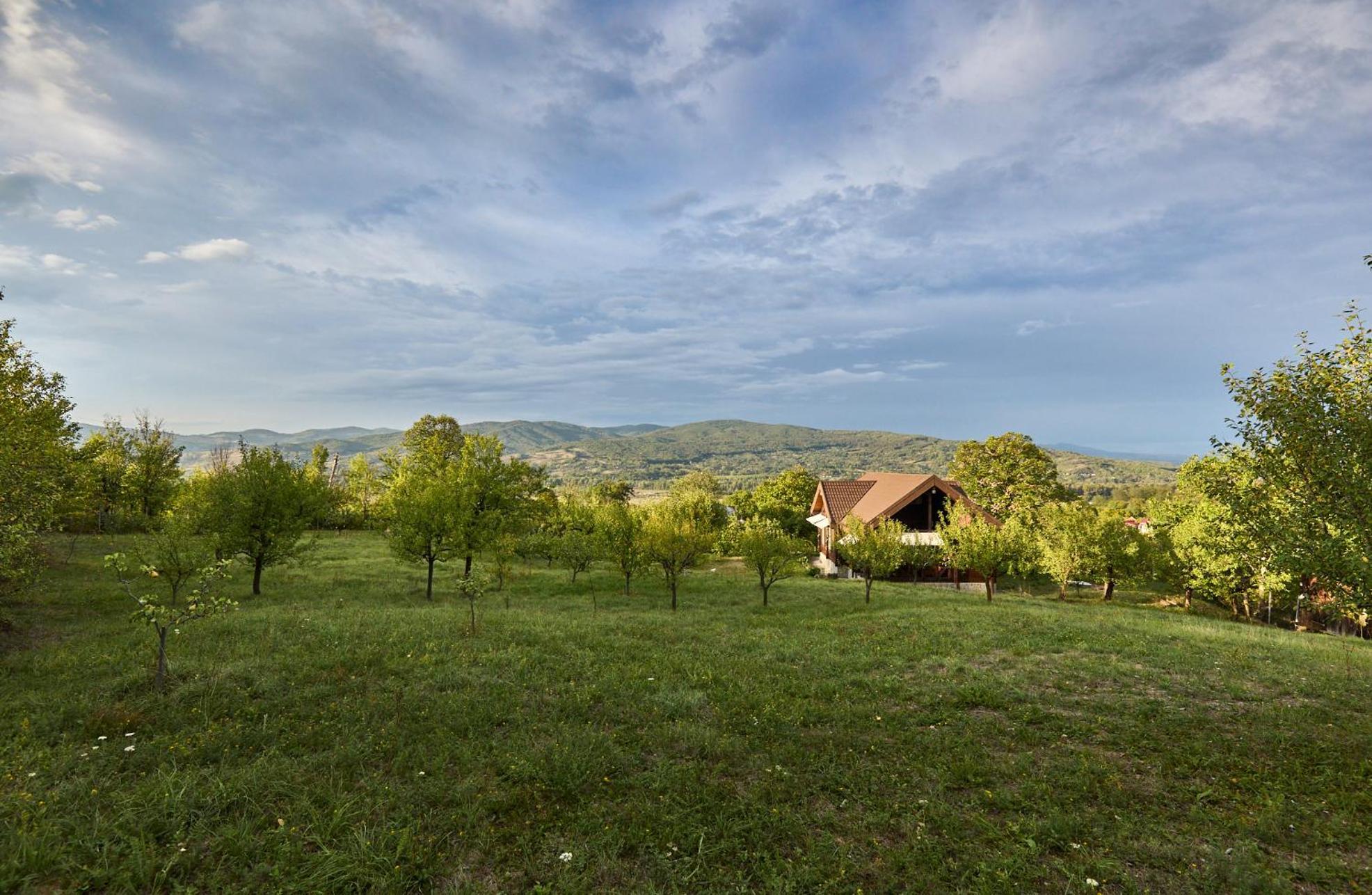 Dream House - Buzau Valley Villa Viperesti Kültér fotó